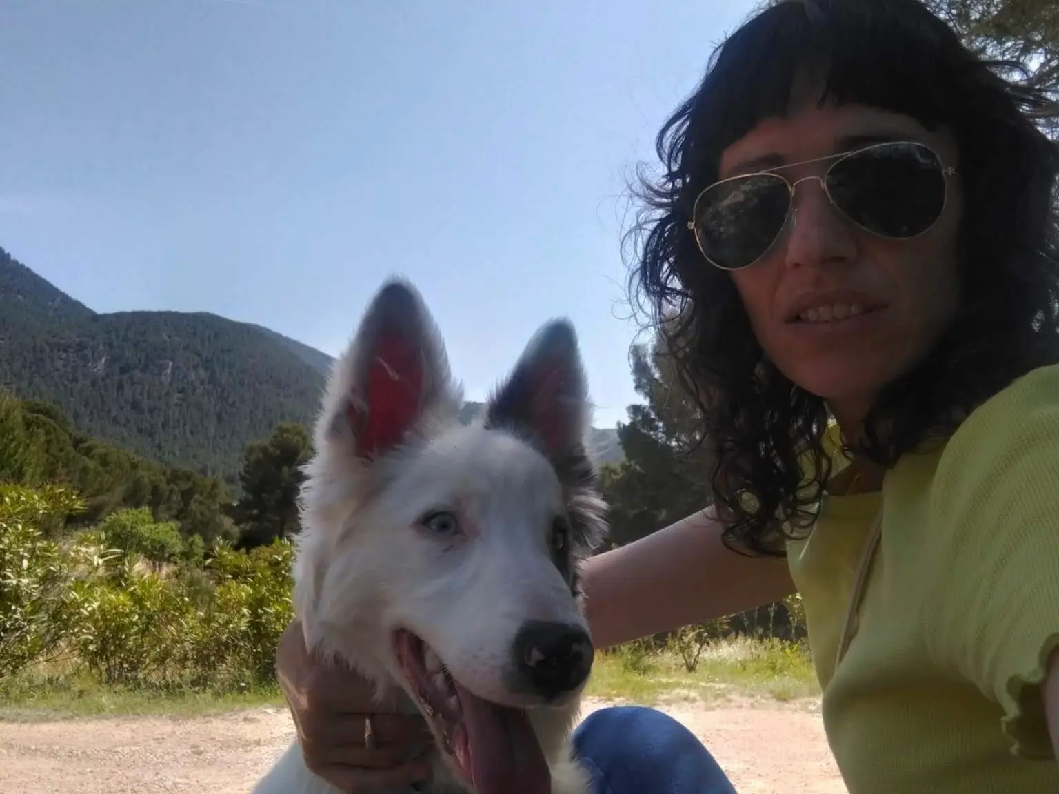 portada articulo cascanueces